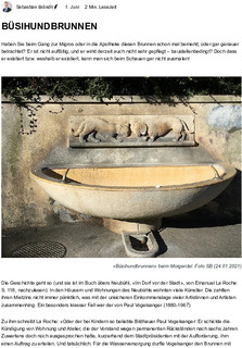 Wollipedia_20230601_Buesihundbrunnen.pdf.jpg