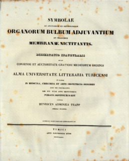Vorschaubild